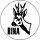 RINA