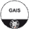 SVP GAIS