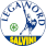 LEGA NORD - SALVINI